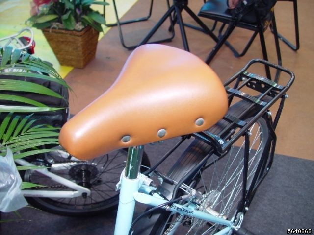 Stepdragon在2009單車展