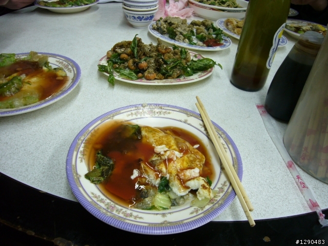 遲來的  2009年環島  ( 全程搭帳篷露營版 )