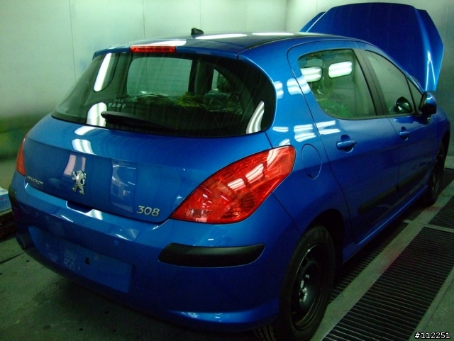 308車主大調查