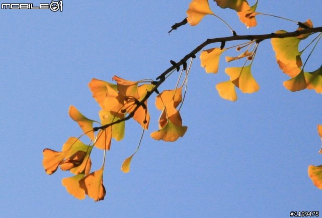 【原创】行者无疆，生生不息我们在路上