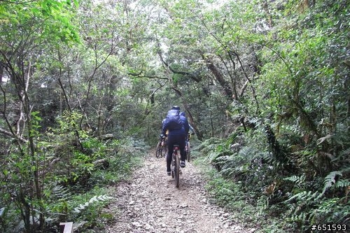 20090315再訪浸水營古道