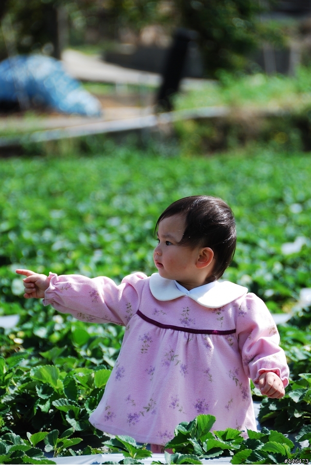 Simga?Nikon?不用考慮了N18-200VR 旅遊好鏡