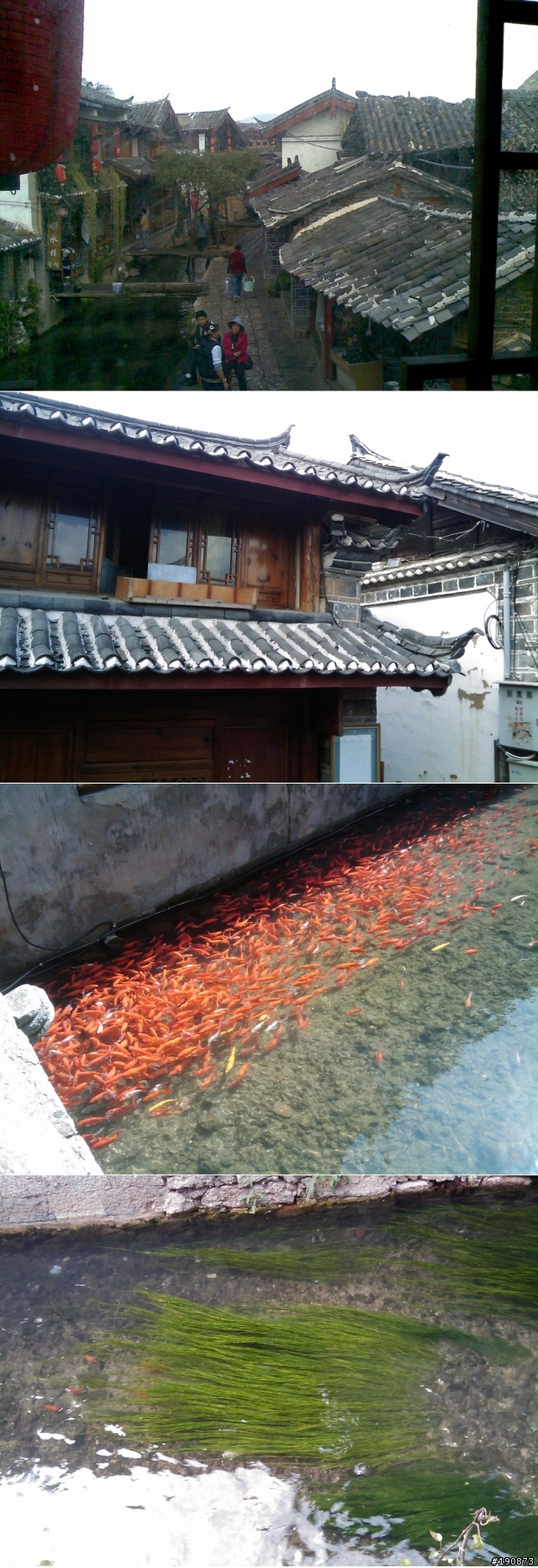 [遊記] 流浪在仙境 雲南麗江--- 瀘沽湖 單車自由行
