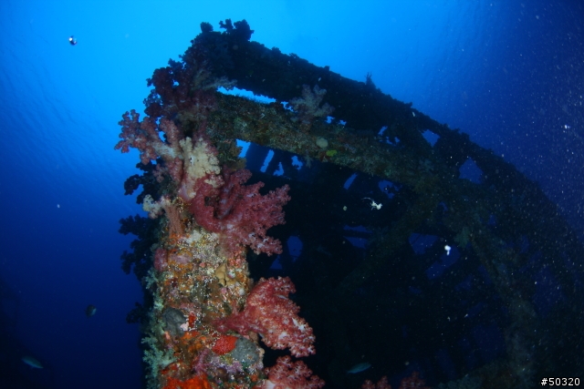 98' 綠島潛水
