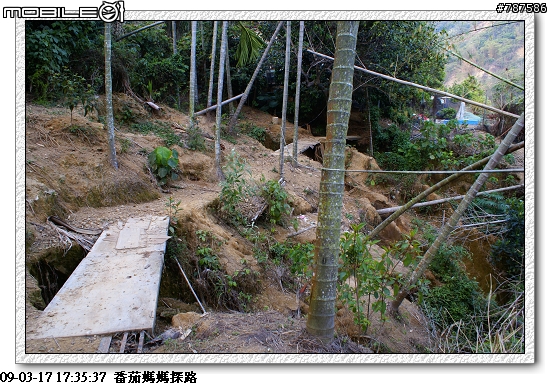 [關懷盃]任務成功~感謝大家!!3月29日青年節~關懷盃第二彈~~番茄媽媽~~