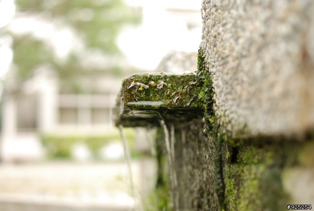 DX系的強心針---Nikon 35mm F1.8 DX--使用心得