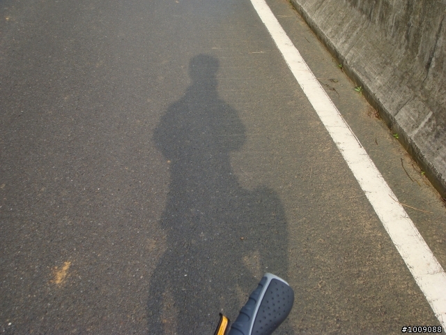 加入竹蜻蜓疑問