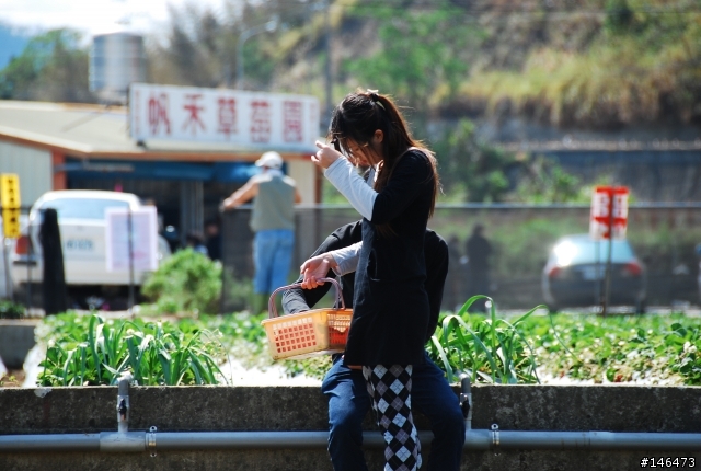 Simga?Nikon?不用考慮了N18-200VR 旅遊好鏡