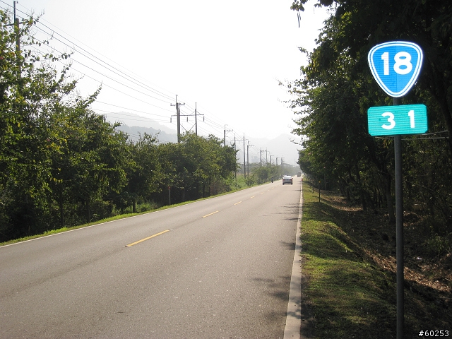 嘉義縣 中埔→阿里山公路→龍美→達娜伊谷→茶山→大埔→台三線→中埔
