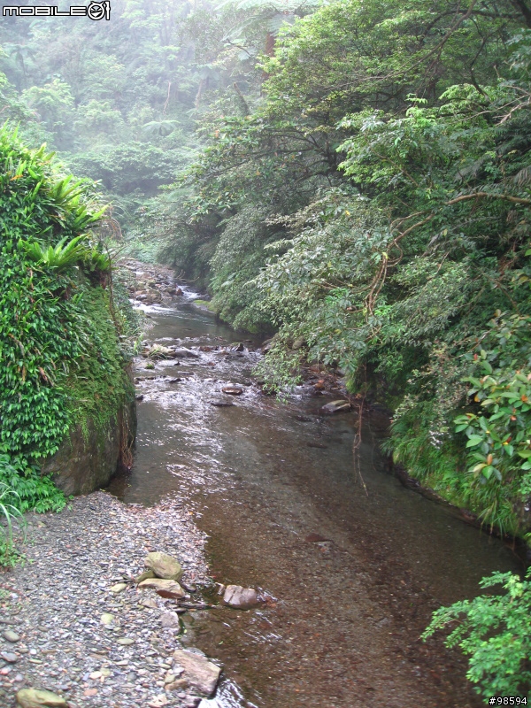 武荖坑林道適合闔家出遊，簡單OFF ROAD又可以玩水，還可以釣魚的地方。