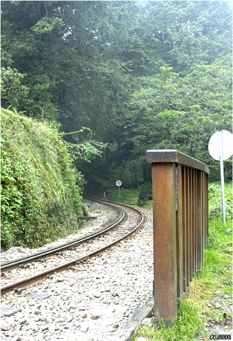 老機不朽, D70 or D70S 來蓋大樓囉