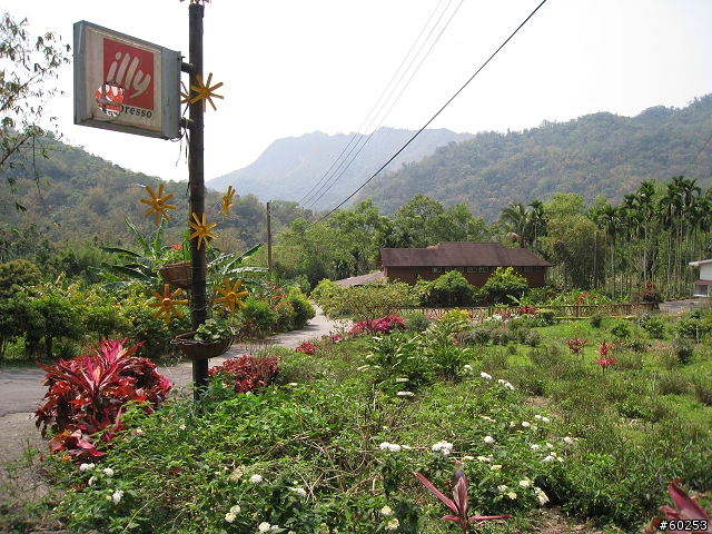 嘉義縣 中埔→阿里山公路→龍美→達娜伊谷→茶山→大埔→台三線→中埔