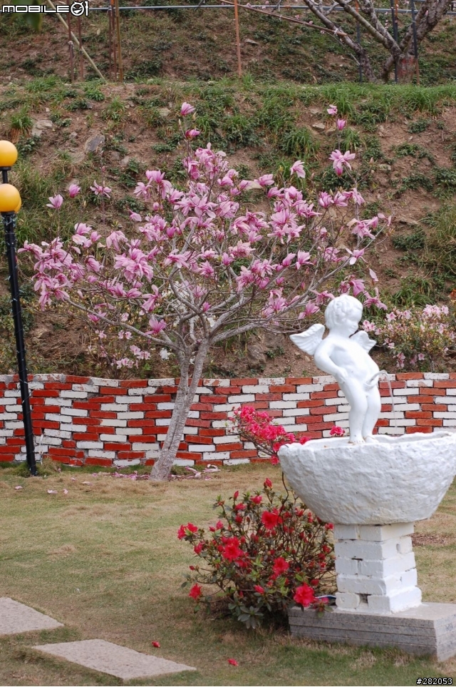 拉拉山二日遊
