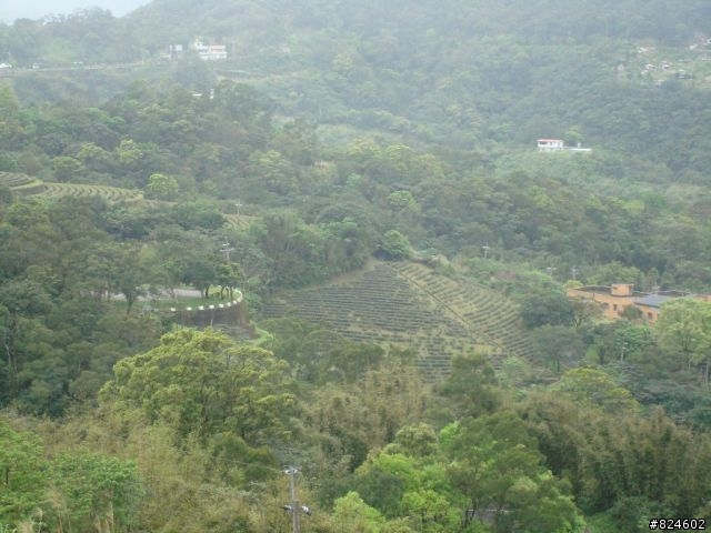 石碇北47 - 小山小水的閒情逸致