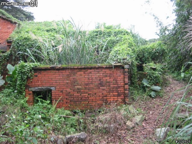 三芝的單車秘密路徑 PART 4 - 田園篇