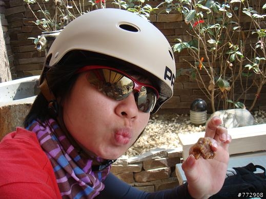 [遊記] 台南府城單車美食之旅