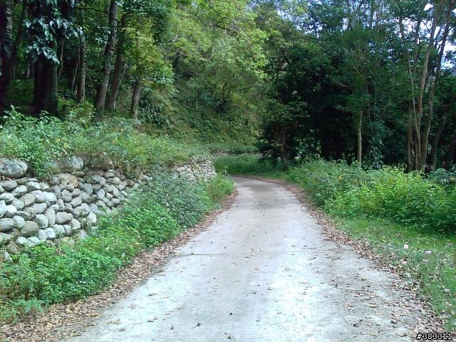 知本林道初探