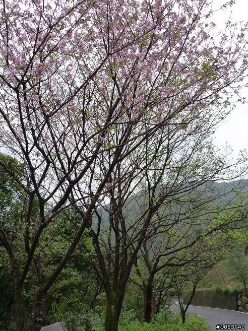 (分享)燃燒吧!!林北愛騎團志名環島去..全團上下力挺到底!!