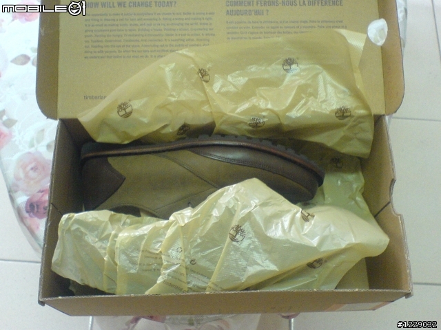 [開箱] Timberland #66579 休閒鞋