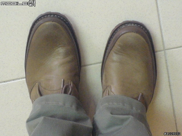 [開箱] Timberland #66579 休閒鞋