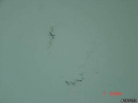 請問 天花板滲水 ,  有住戶在但都沒遇到, 房東可開門進去嗎9F (有附滲水圖) 。3/13更新。