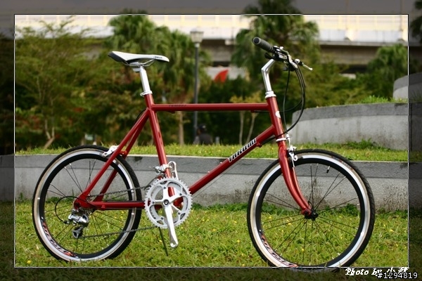 請各位小折車&小徑車的高手們~給與指教