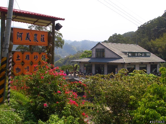 東眼山路線~新手爬山~圖多!
