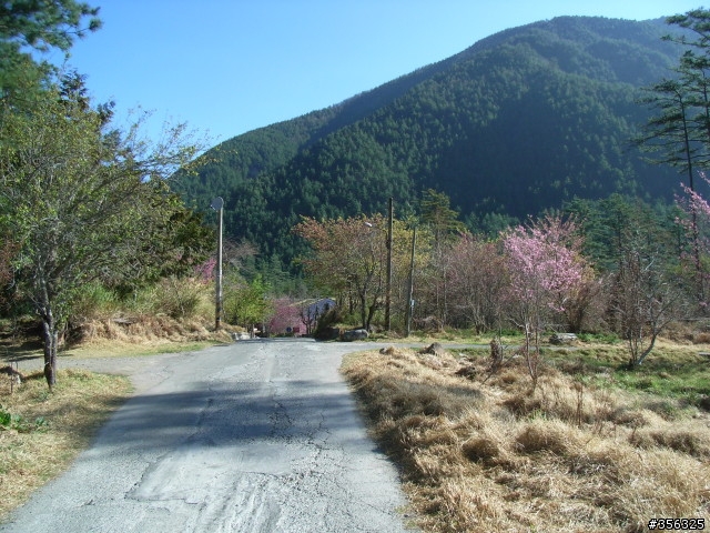 [遊記] 海拔1800M自行車道超感動誌 中橫宜蘭支線~武陵農場單車2日遊(2011.02.21 update)