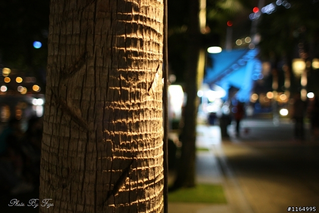 450D终于买了，28mm f/1.8也买了，发一些最新拍的...