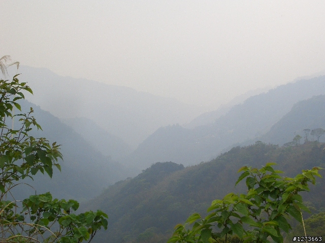 東眼山路線~新手爬山~圖多!