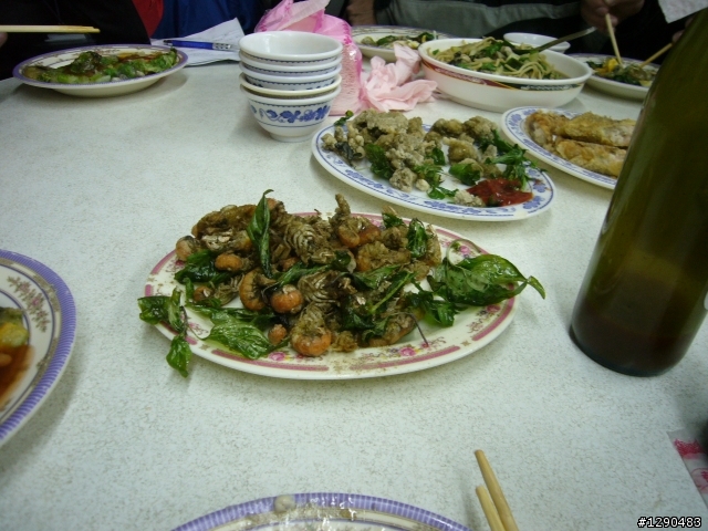 遲來的  2009年環島  ( 全程搭帳篷露營版 )