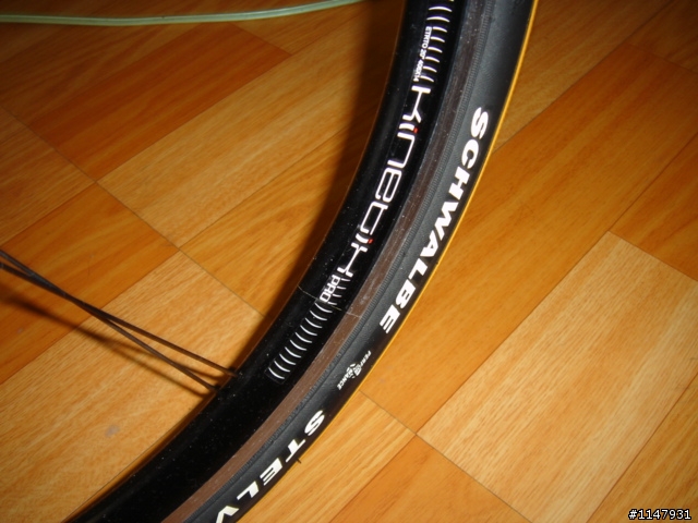 08年 DAHON SPEED PRO 非專業分享