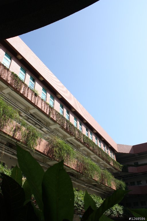 Canon eos 450D新手報到，請達人多多指教︿︿