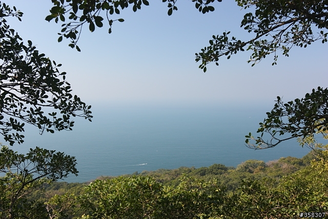 鼓山：小百岳～壽山