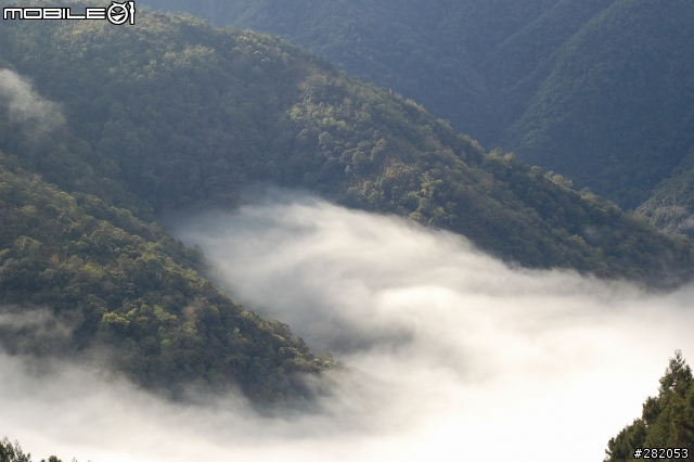 拉拉山二日遊