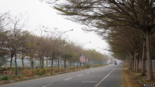 嘉義市→沄水→關仔嶺→嘉義市