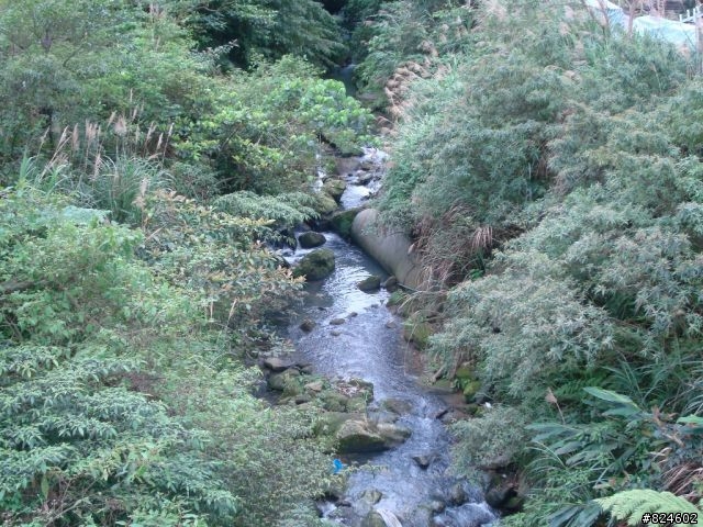 石碇北47 - 小山小水的閒情逸致