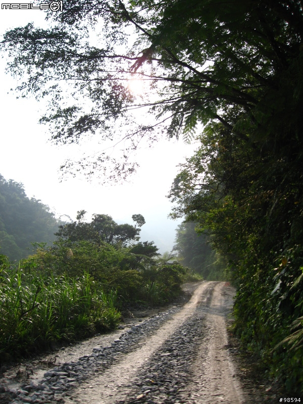 武荖坑林道適合闔家出遊，簡單OFF ROAD又可以玩水，還可以釣魚的地方。