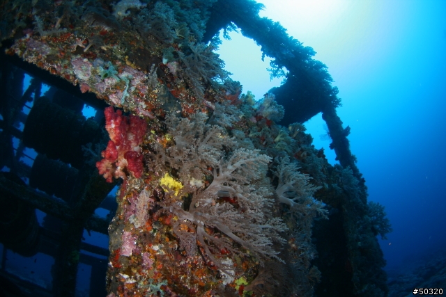 98' 綠島潛水