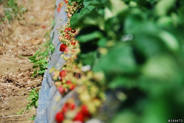 Simga?Nikon?不用考慮了N18-200VR 旅遊好鏡