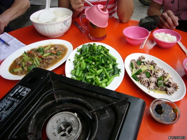 遲來的  2009年環島  ( 全程搭帳篷露營版 )
