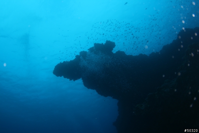 98' 綠島潛水