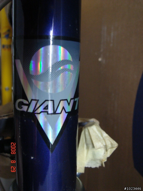 <分享>超夢幻收藏第二彈!捷安特1998環台賽紀念全新品鋼管車!