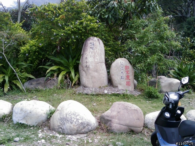 潭雅神晨騎