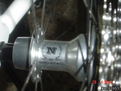 女王的變種平把公路車