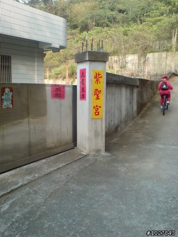潭子新田--櫸楺樹土地公廟