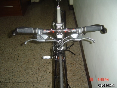女王的變種平把公路車