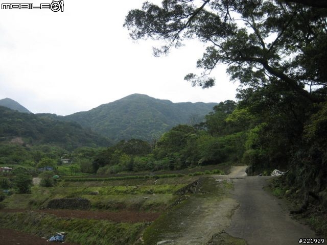 三芝的單車秘密路徑 PART 4 - 田園篇