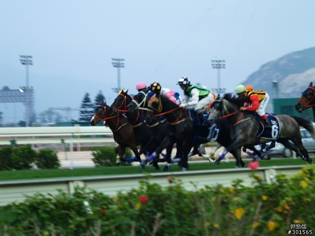 E300+70mm~300mm 澳門打馬