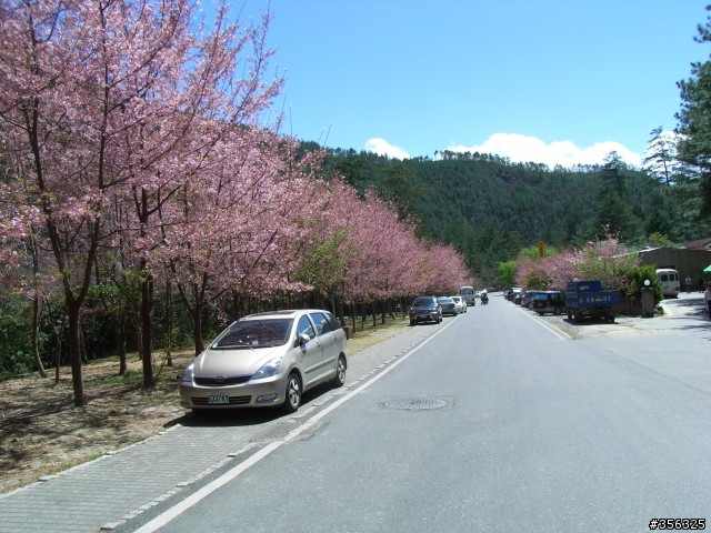 [遊記] 海拔1800M自行車道超感動誌 中橫宜蘭支線~武陵農場單車2日遊(2011.02.21 update)